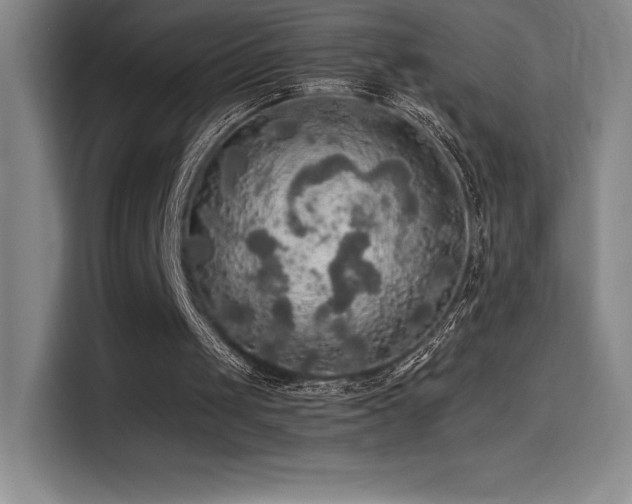X0000114620049200910201140