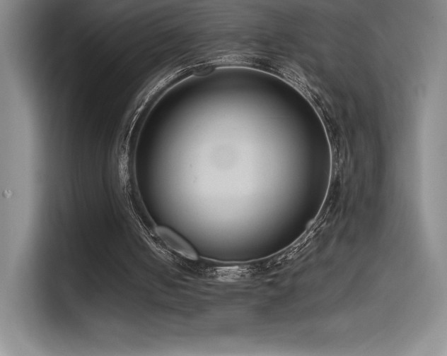 X0000114620050200910201140