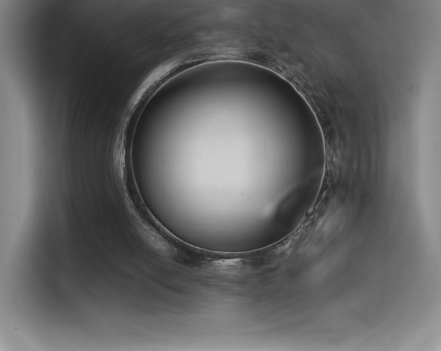 X0000114620054200910201141