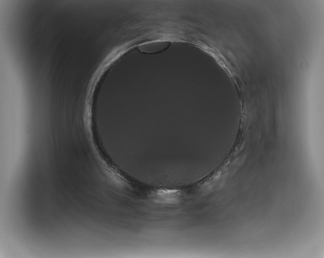 X0000114620055200910201141