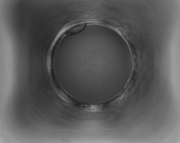 X0000114620056200910201141