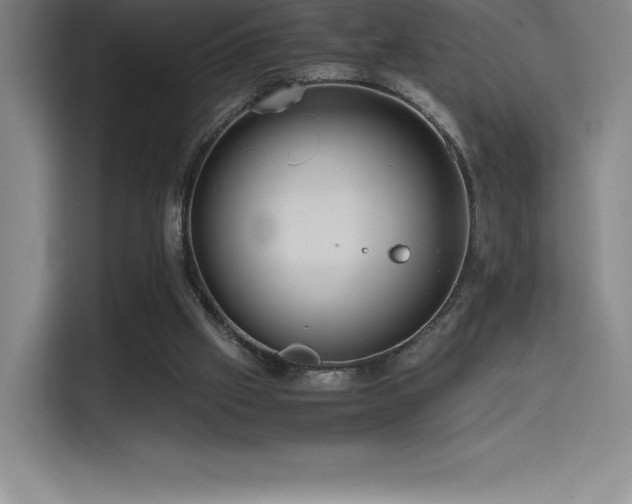 X0000114620057200910201141