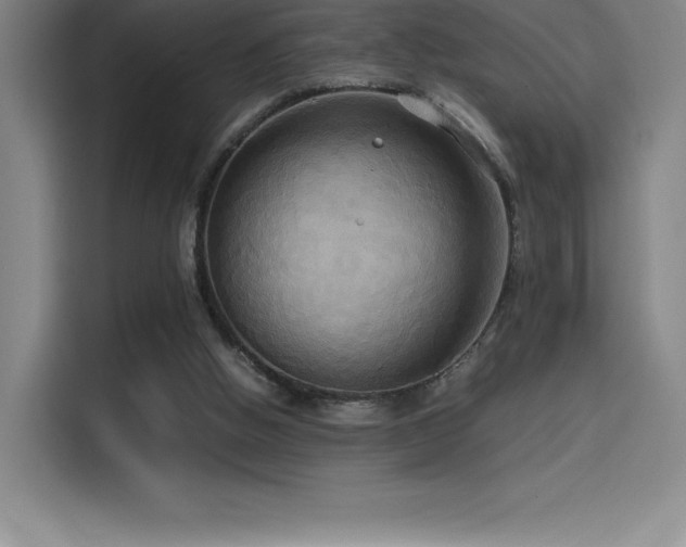 X0000114620058200910201141