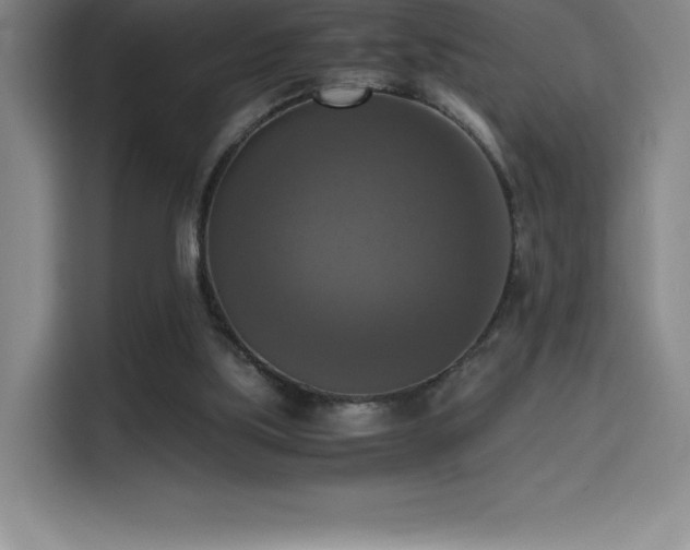 X0000114620059200910201141