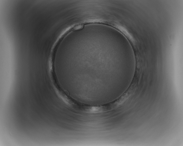 X0000114620060200910201141