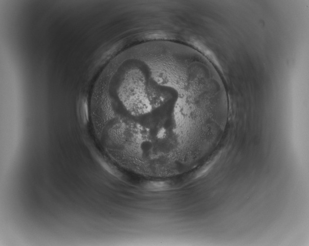 X0000114620061200910201141