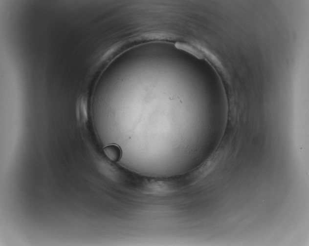 X0000114620062200910201141