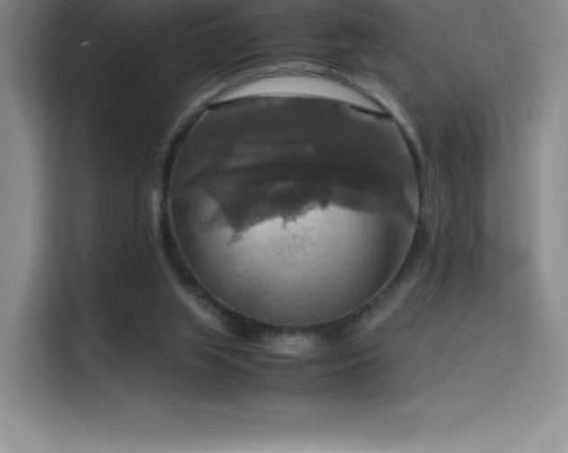 X0000114620063200910201141