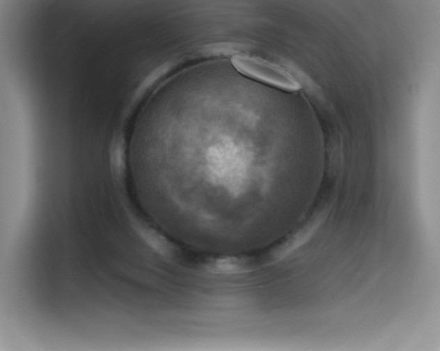 X0000114620064200910201141