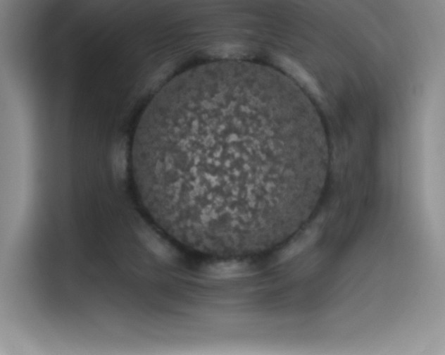 X0000114620065200910201141