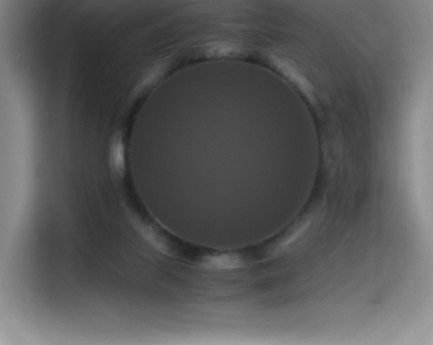 X0000114620067200910201141