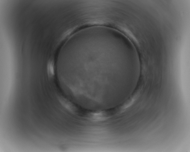 X0000114620068200910201141