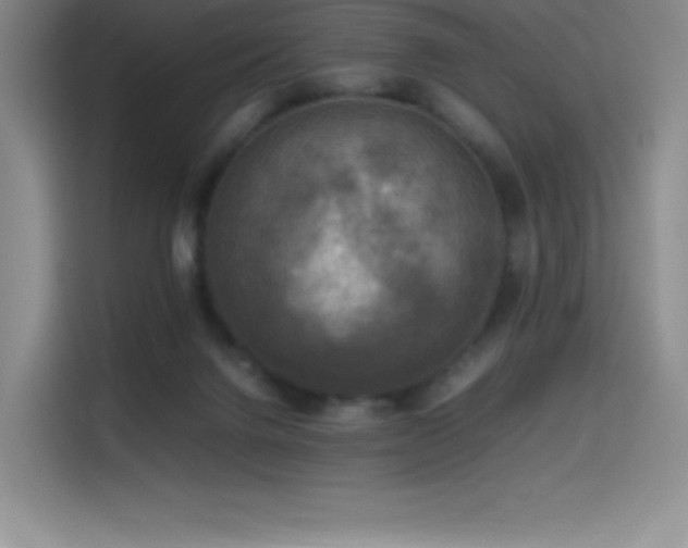 X0000114620072200910201141