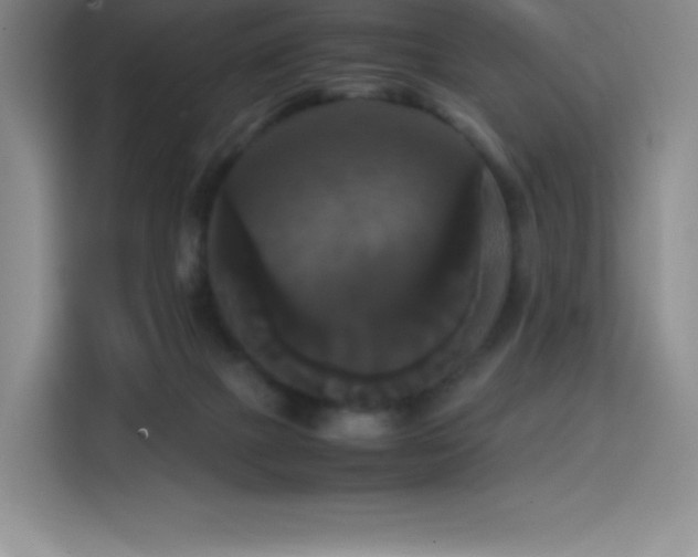 X0000114620073200910201141