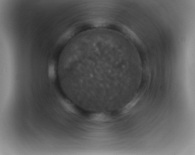 X0000114620074200910201141
