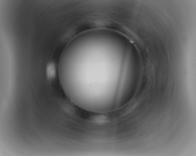 X0000114620075200910201141