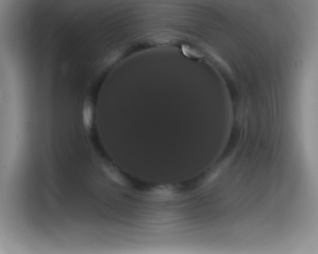 X0000114620076200910201141