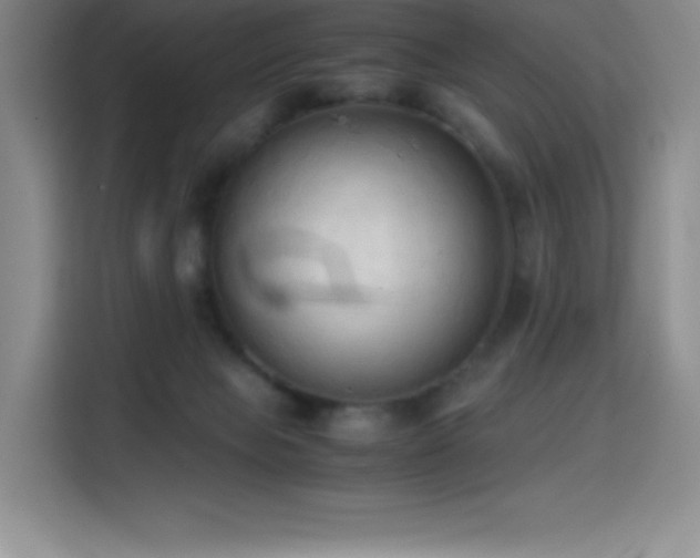 X0000114620077200910201141