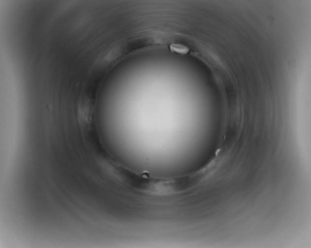 X0000114620078200910201141