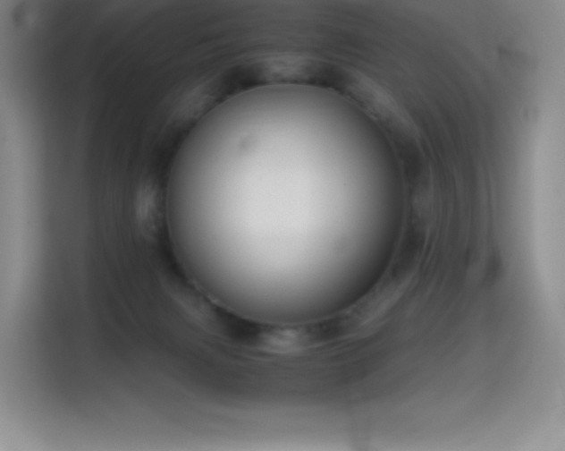 X0000114620079200910201141