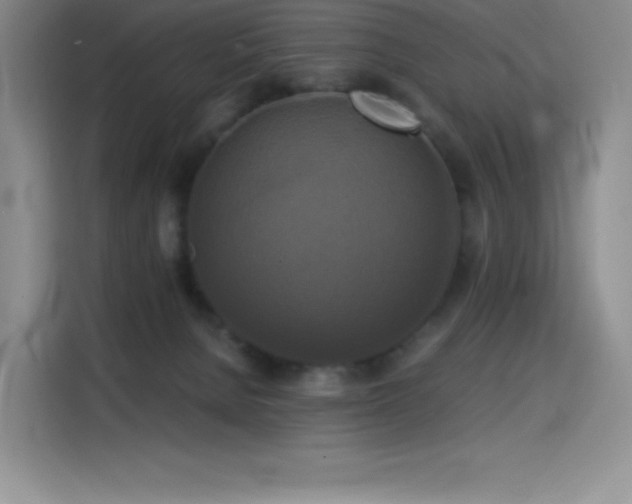 X0000114620080200910201141