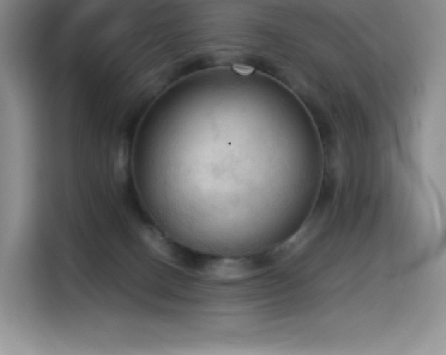 X0000114620082200910201141