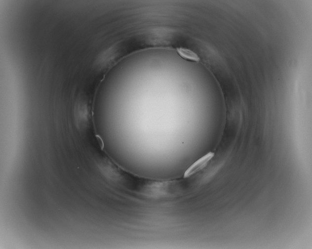 X0000114620084200910201141