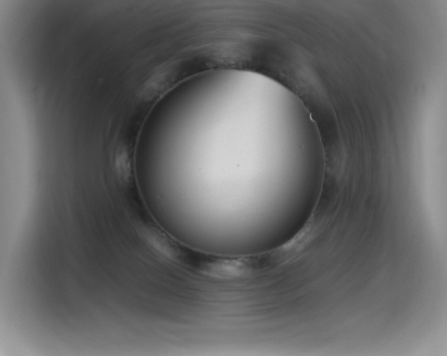 X0000114620086200910201141
