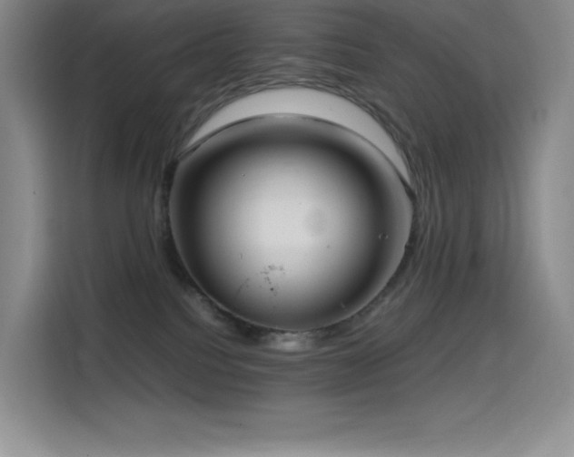 X0000114620088200910201141