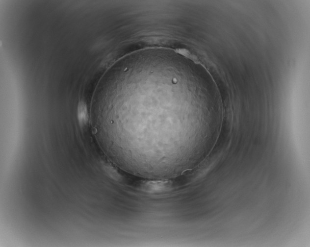 X0000114620089200910201141