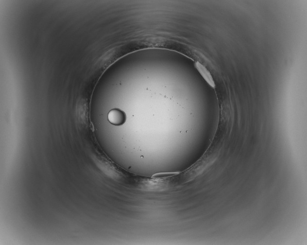 X0000114620092200910201141