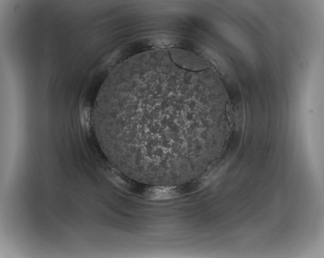 X0000114620093200910201141