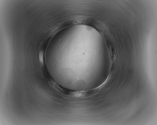 X0000114620094200910201141