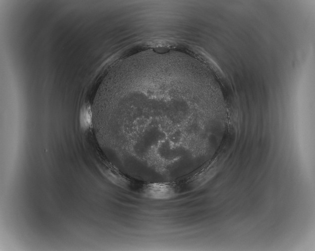 X0000114620095200910201141