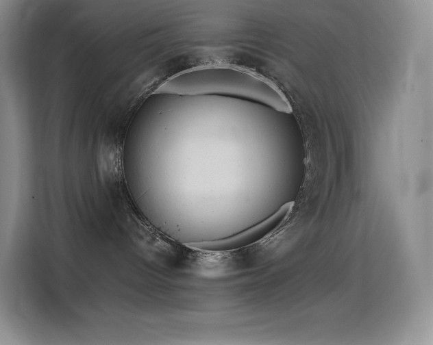 X0000114620096200910201141