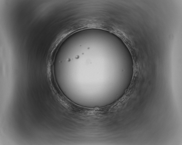 X0000114620098200910201140