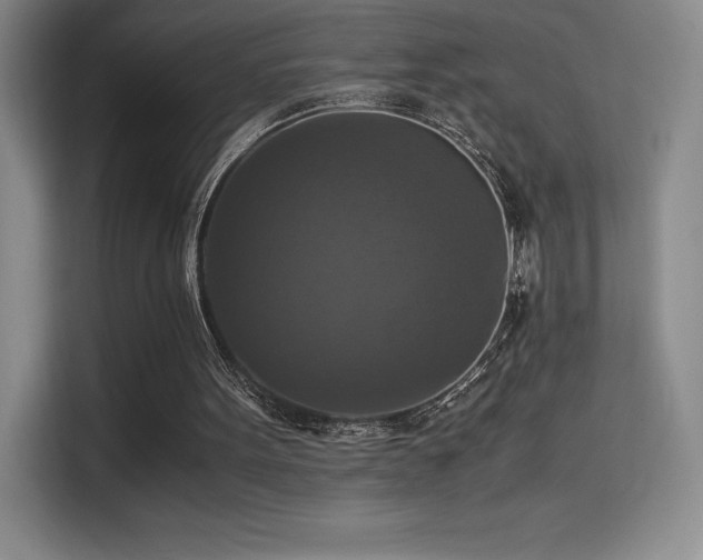 X0000114620099200910201140