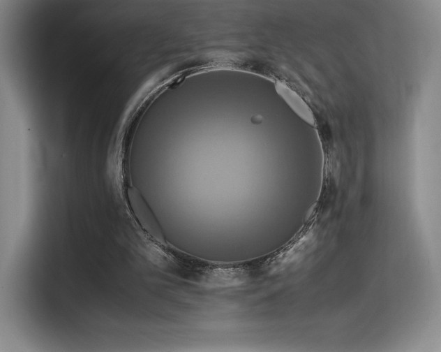 X0000114620101200910201140