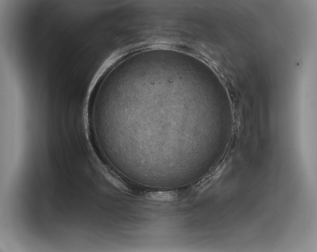X0000114620102200910201140