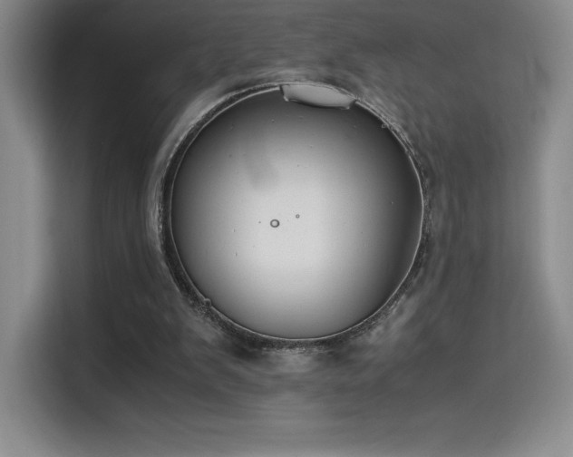 X0000114620103200910201140