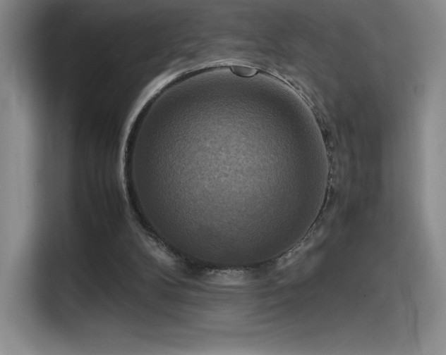 X0000114620104200910201140