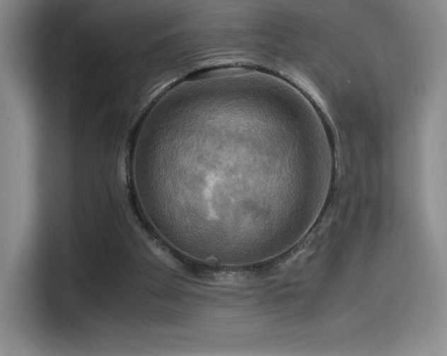 X0000114620105200910201140