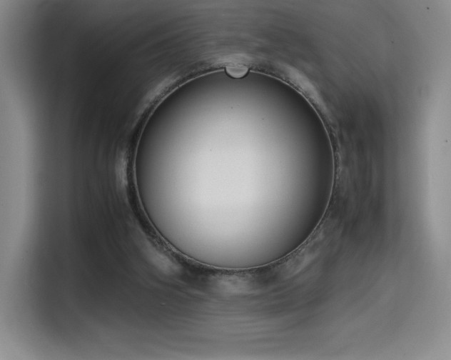 X0000114620106200910201140