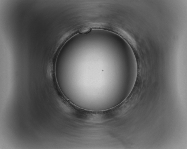 X0000114620107200910201140