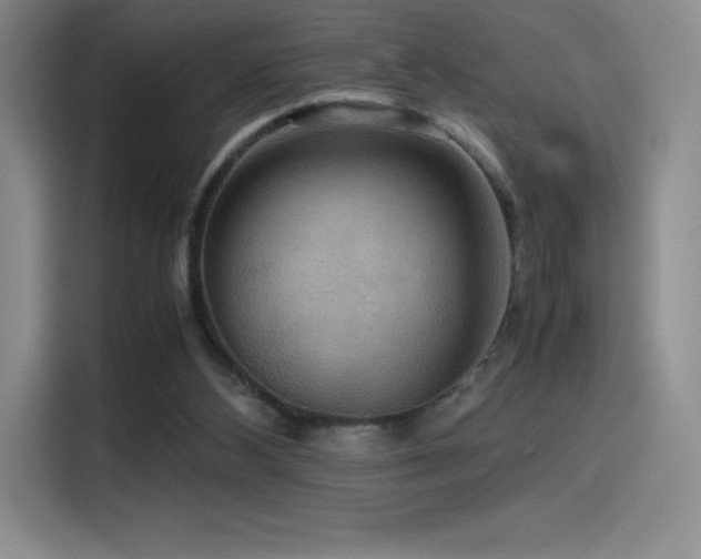 X0000114620108200910201140