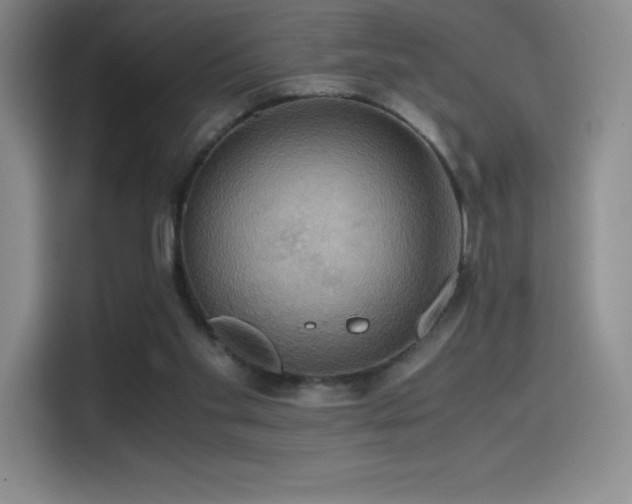 X0000114620109200910201140