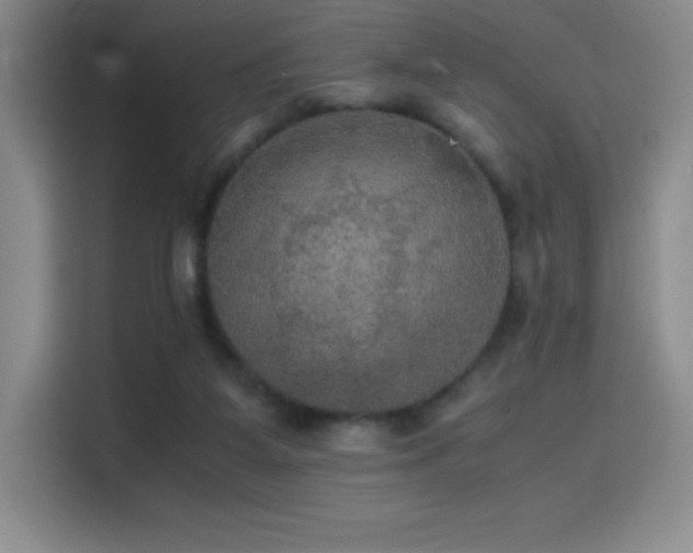 X0000114620115200910201140