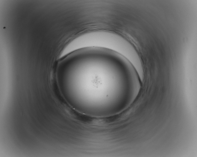 X0000114620117200910201140