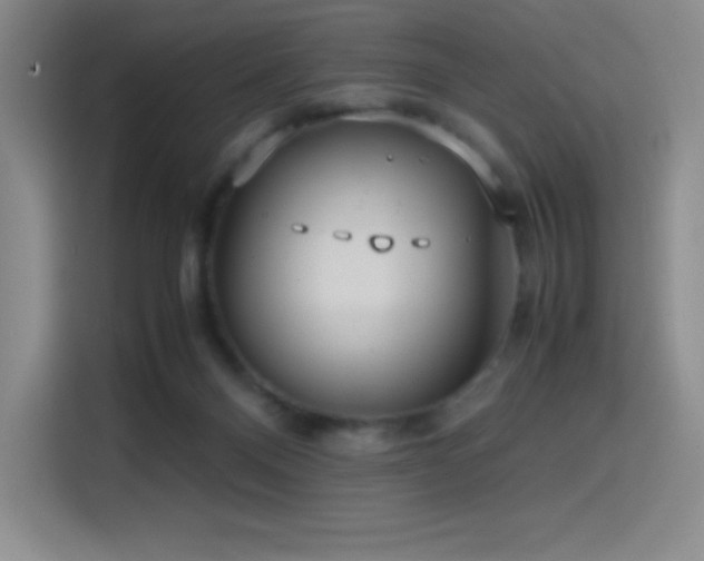 X0000114620120200910201140