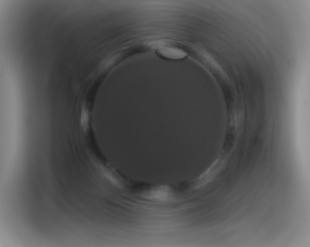 X0000114620124200910201140